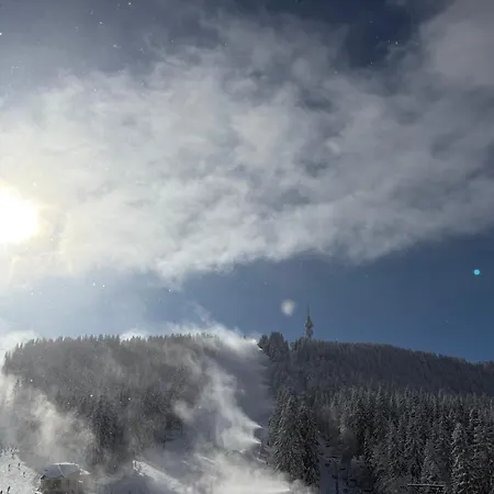 Black Horse Guest house 3*