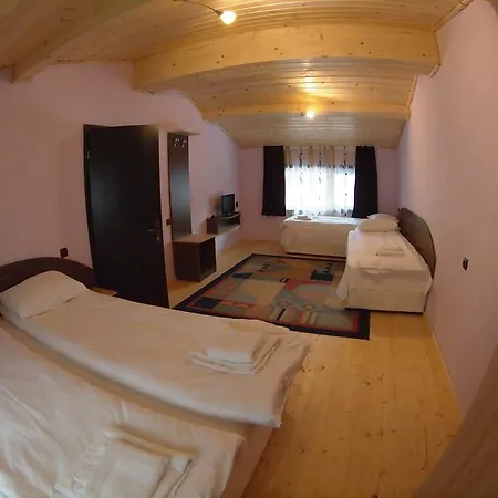 Black Horse Guest house 3*
