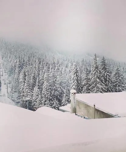 Black Horse Guest house