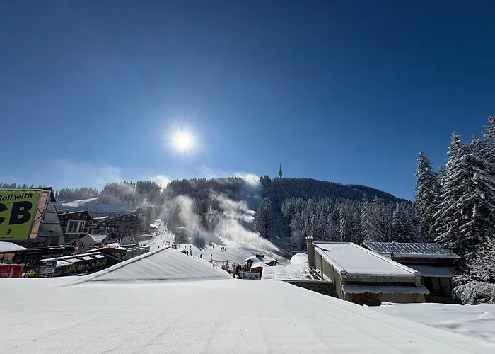 Guest house Black Horse Pamporovo