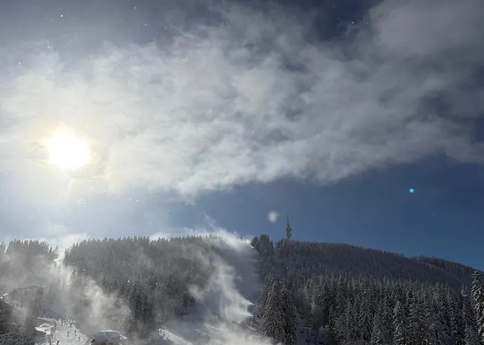 Black Horse Guest house 3*